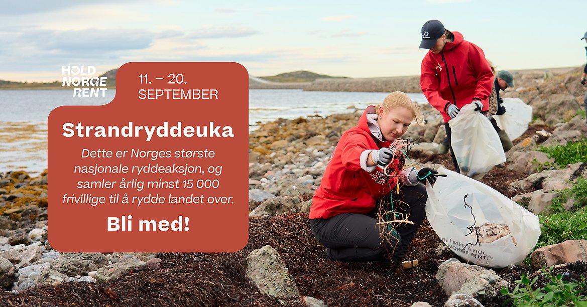 Bildet viser mennesker som er på stranden og rydder